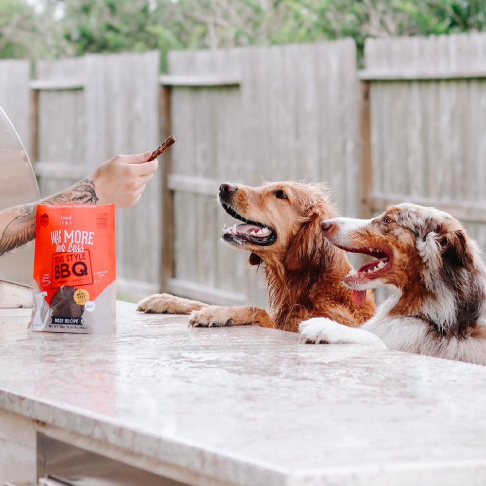 Arômes Texas BBQ invitants de Cloud Star Wag More Bark Less.