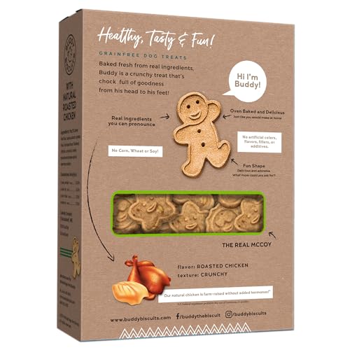 Buddy Biscuits Cloud Star, forme gingerkid, récompense ludique et savoureuse.