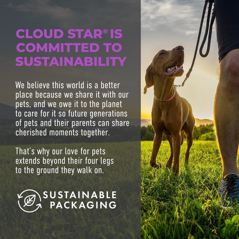 Cloud Star Tricky Trainers : sans céréales ni additifs pour chiens divers.
