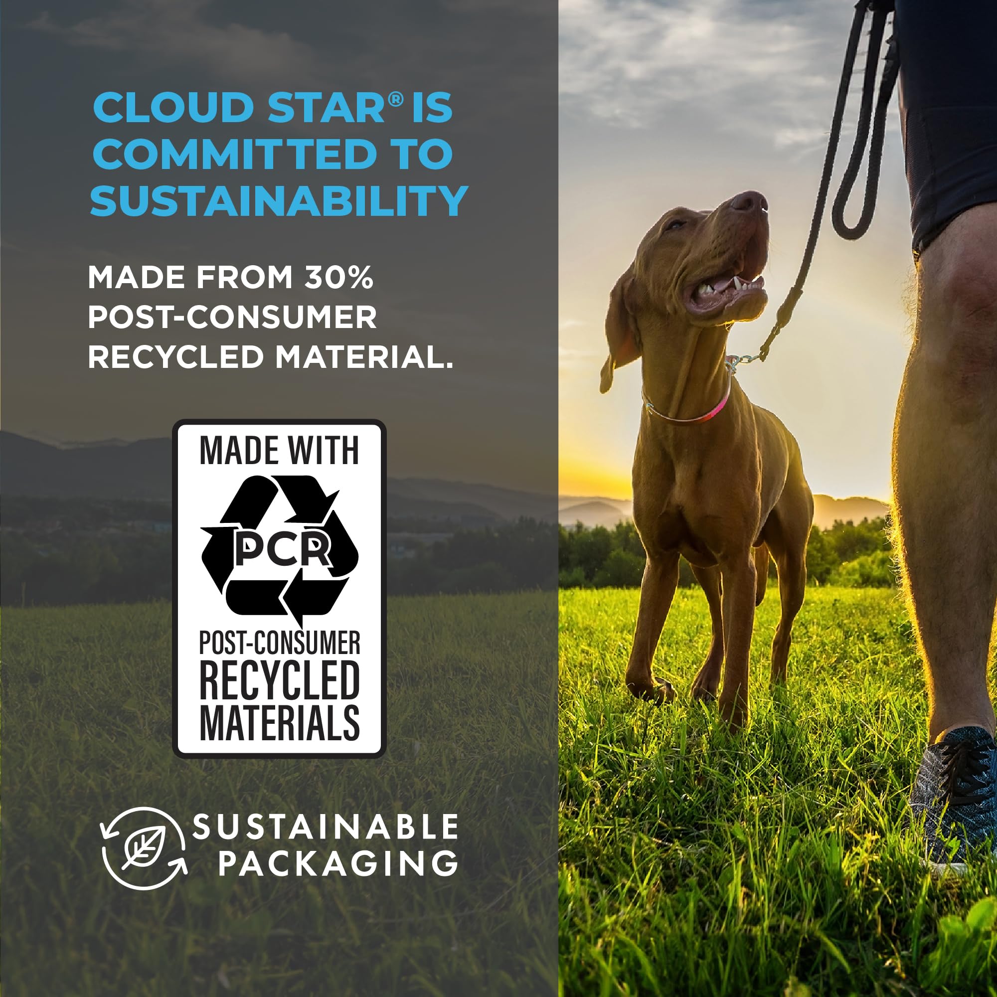 Emballage durable Wag More Bark Less avec matériaux recyclés.