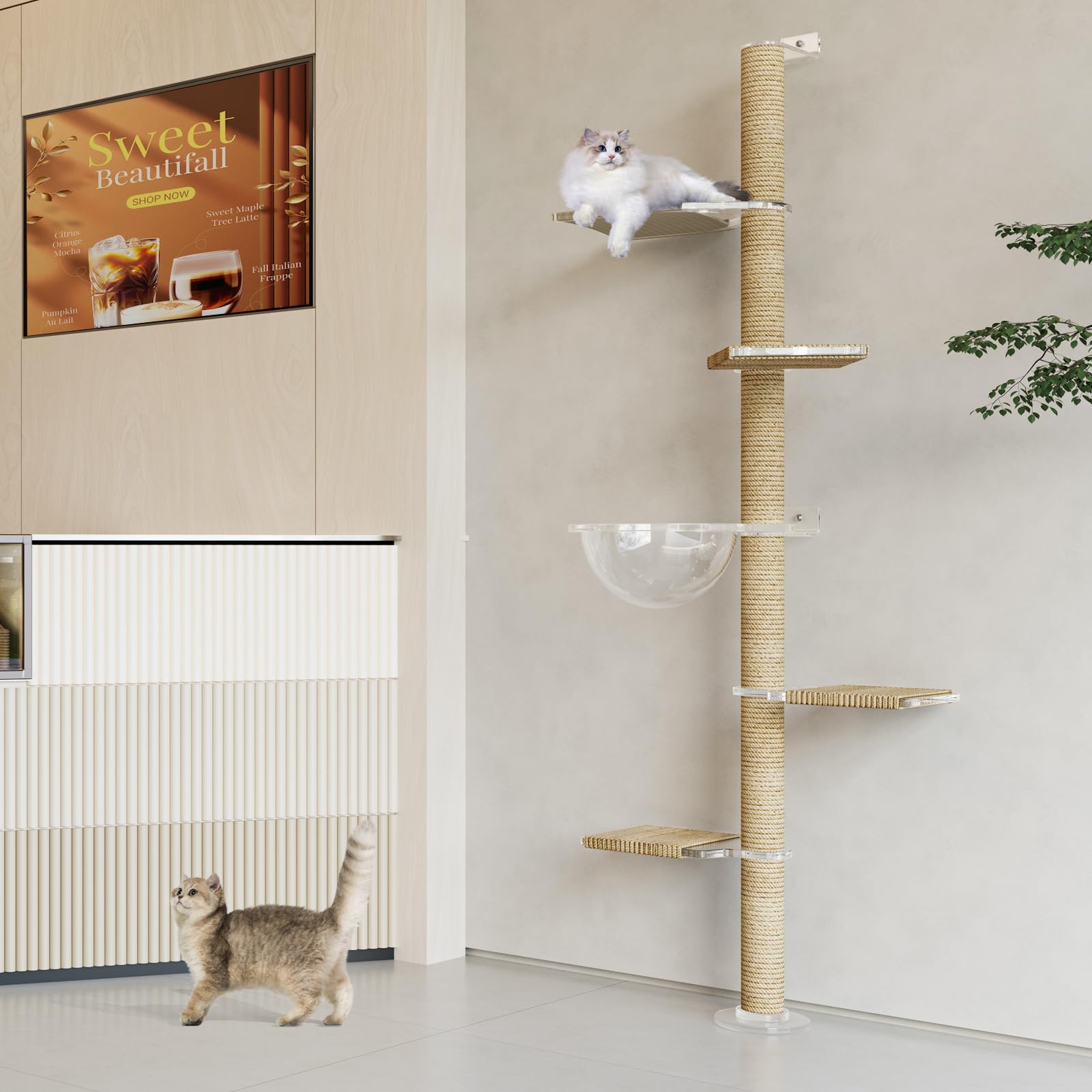 CloudPET Arbre-chat corde sisal naturelle surface de griffage durable