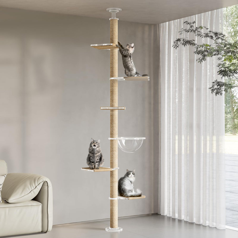 CloudPET Arbre-chat utilisation quotidienne confortable pour jeux et repos