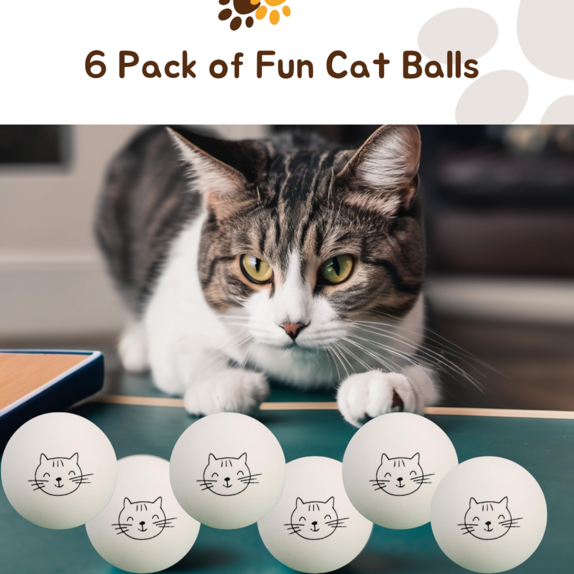 Utilisation multi-animaux: Cloverjoyed balles ping-pong pour chats et petits chiens.
