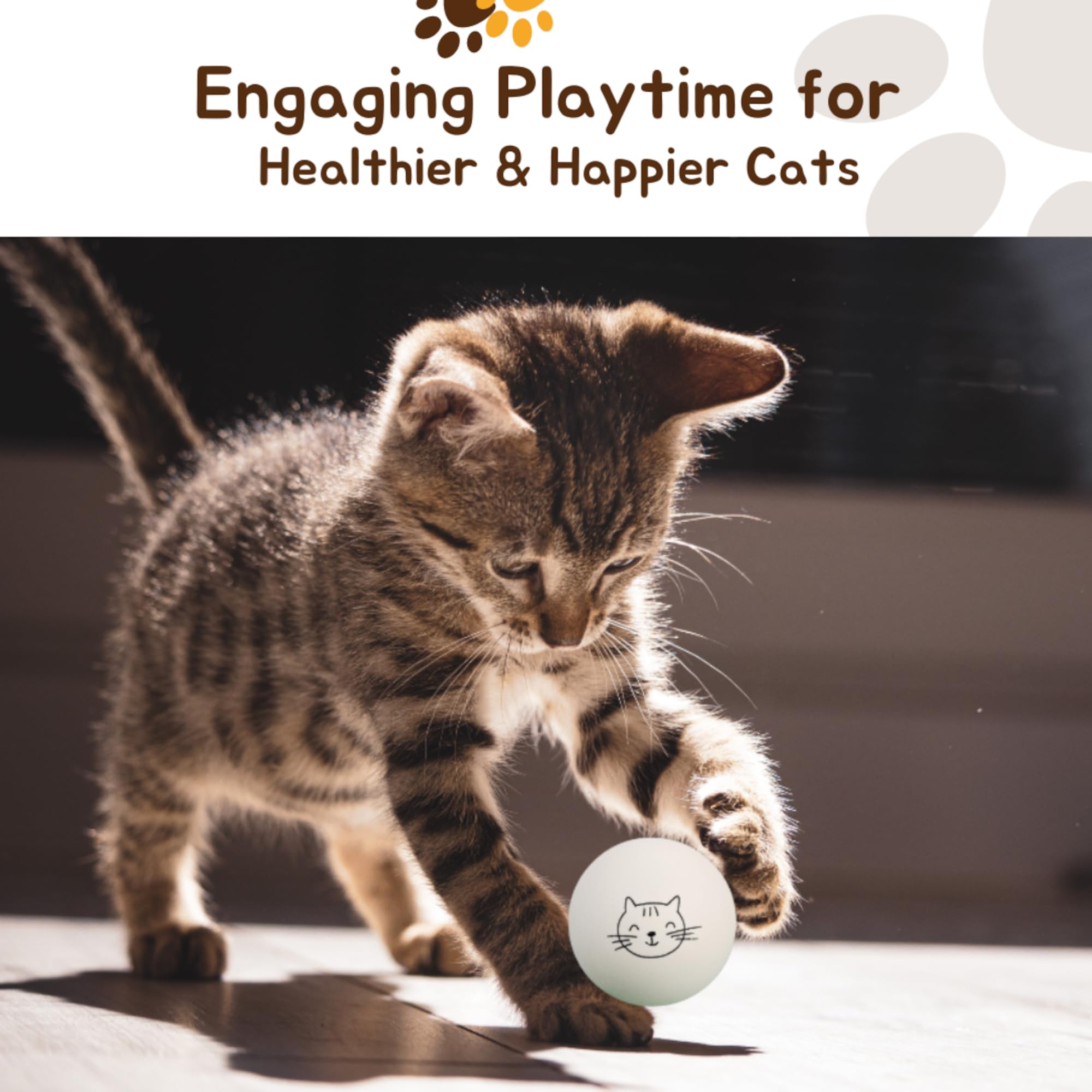 Gros plan sur Cloverjoyed balles ping-pong, rebond idéal pour chats actifs.