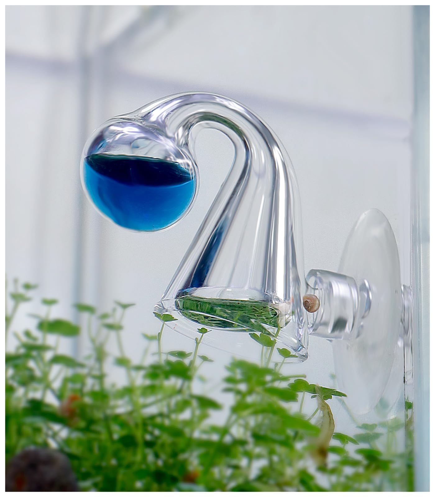 Clscea utilisation dans l’aquarium, surveillance du CO2 sans effort.