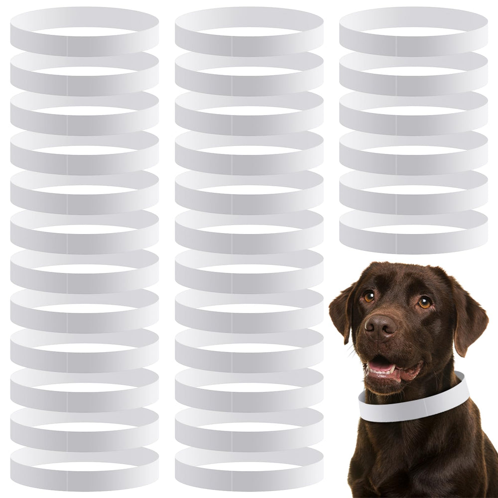 Collier d'identification Clysee en papier, 20 pouces, pratique pour chiots et jeunes chiens.