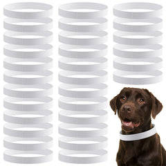 Collier d'identification Clysee en papier, 20 pouces, pratique pour chiots et jeunes chiens.