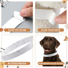 Clysee: collier en papier résistant à l'eau, idéal pour environnements humides.