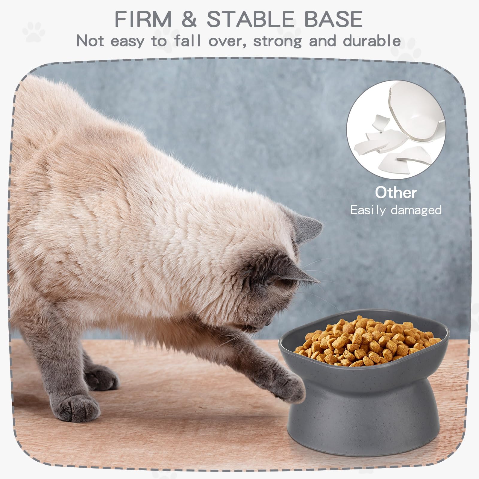 Ensemble de 4 pièces Clysee, parfait pour alimentation quotidienne des chats.