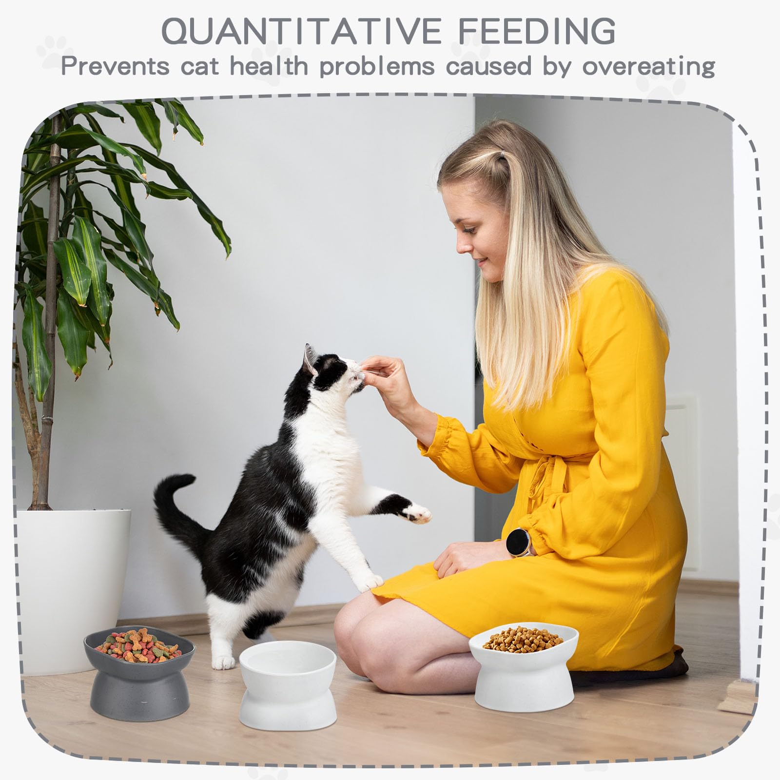 Conception pratique Clysee, idée cadeau pour propriétaires de chats.