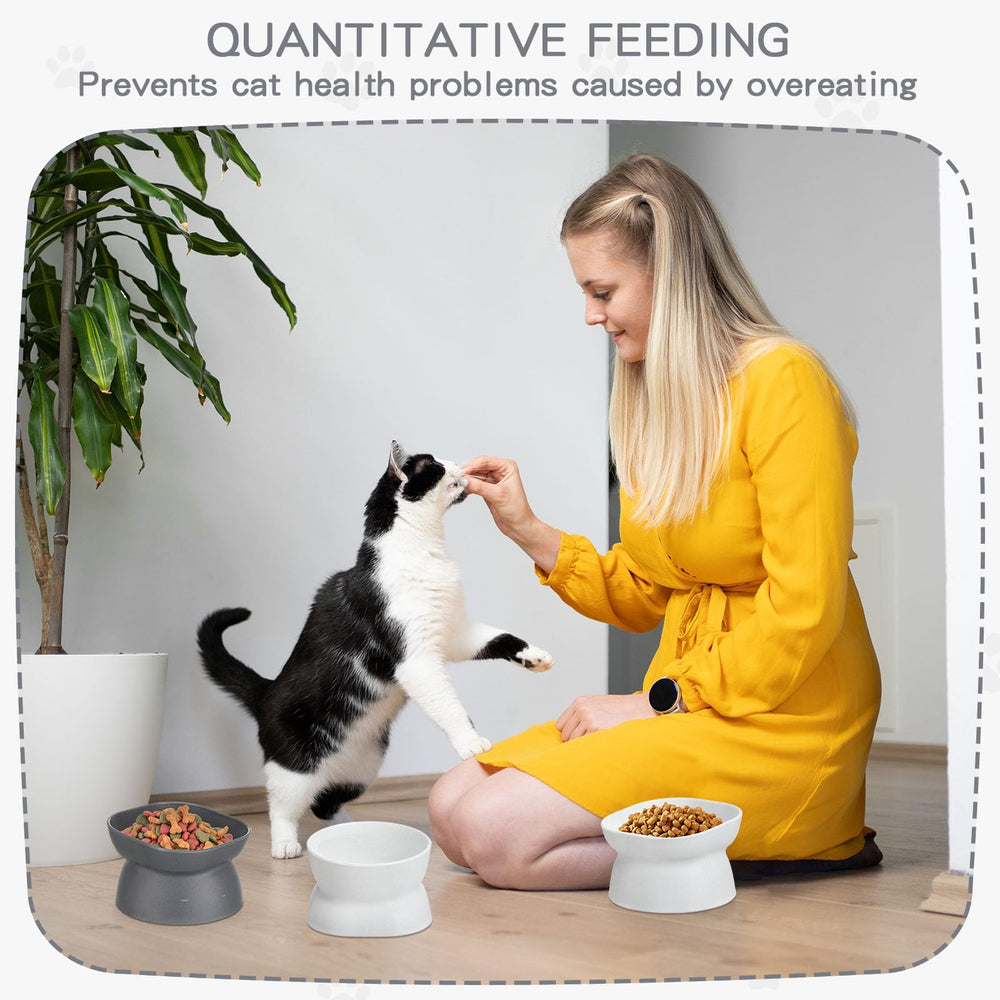 Conception pratique Clysee, idée cadeau pour propriétaires de chats.