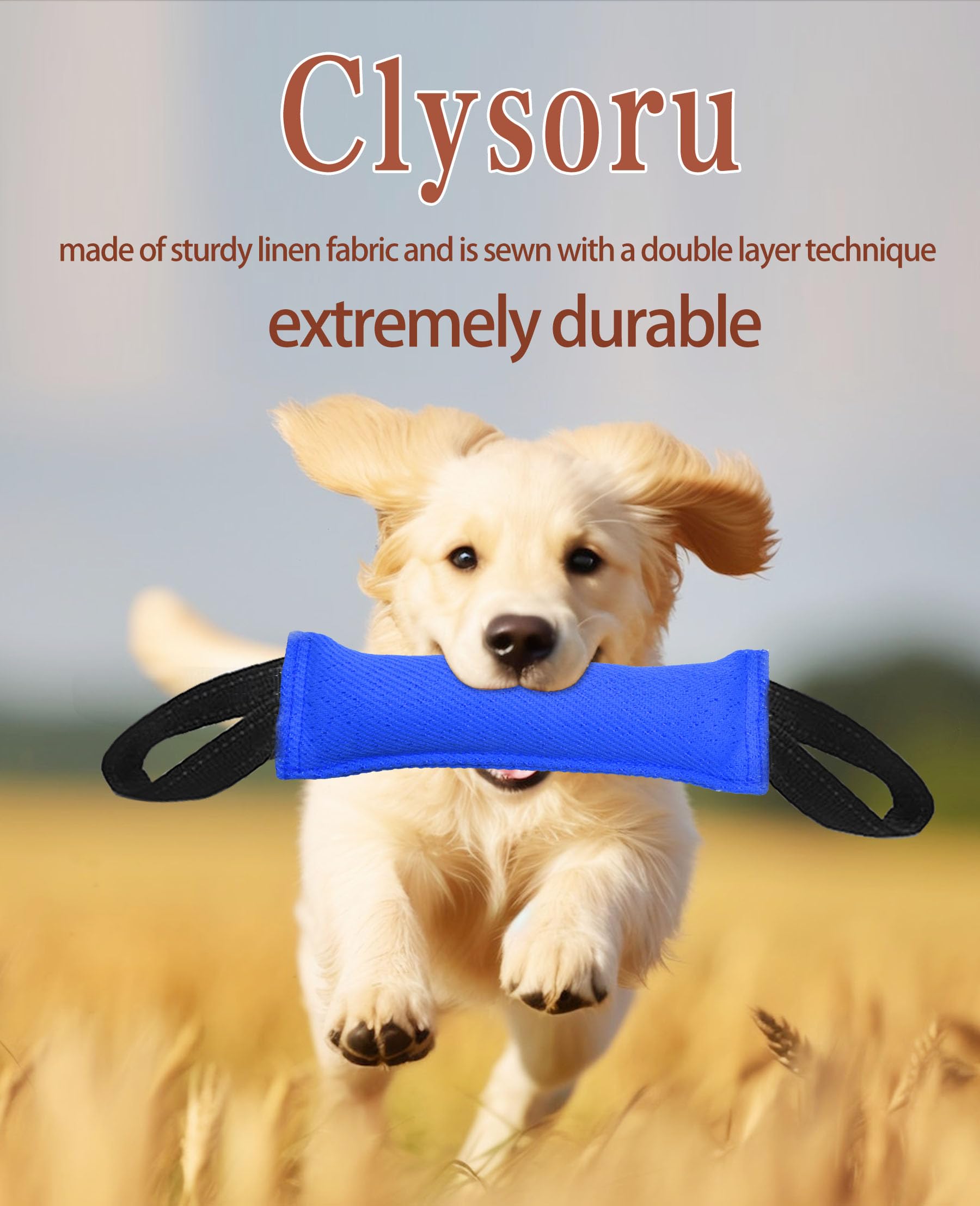 Jouet interactif Clysoru, adapté pour chiens moyens à grands durant l'entraînement.