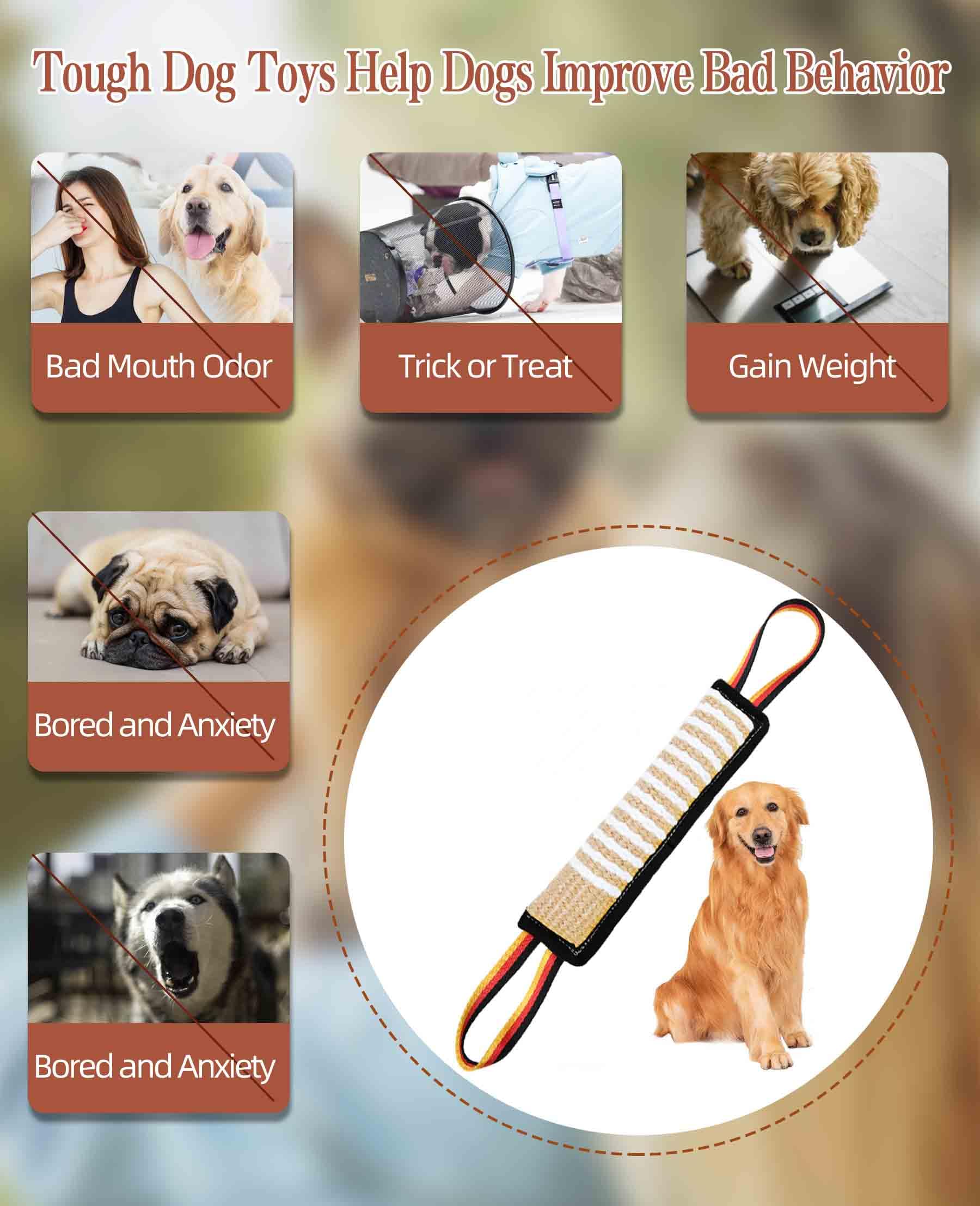 Poignée réfléchissante Clysoru, visibilité accrue au crépuscule.