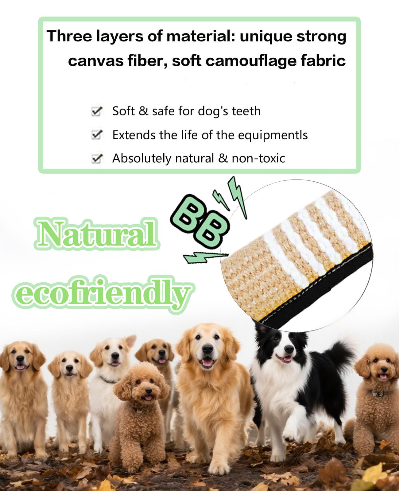 Utilisation interactive avec votre chien grâce au jouet Clysoru.