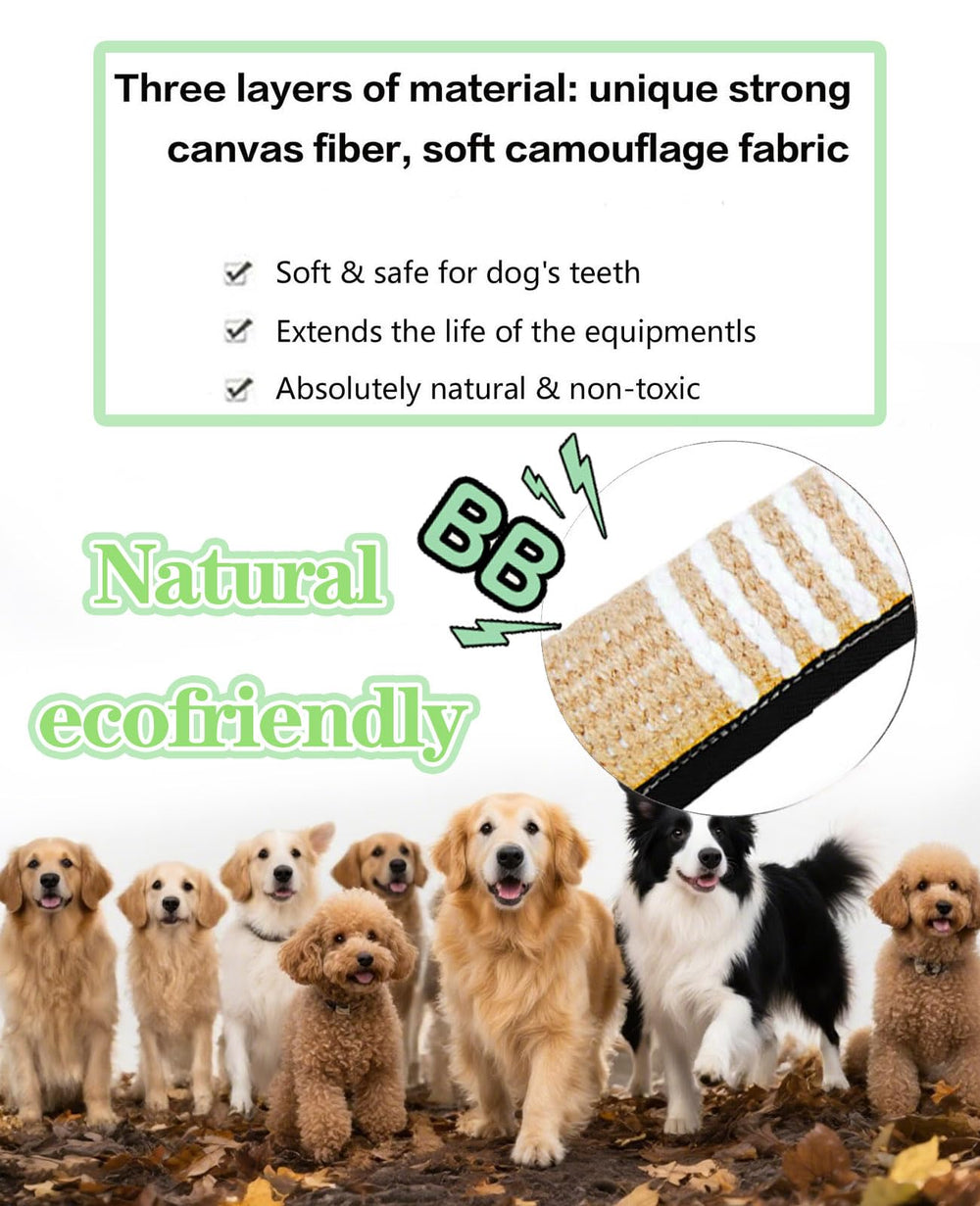 Utilisation interactive avec votre chien grâce au jouet Clysoru.