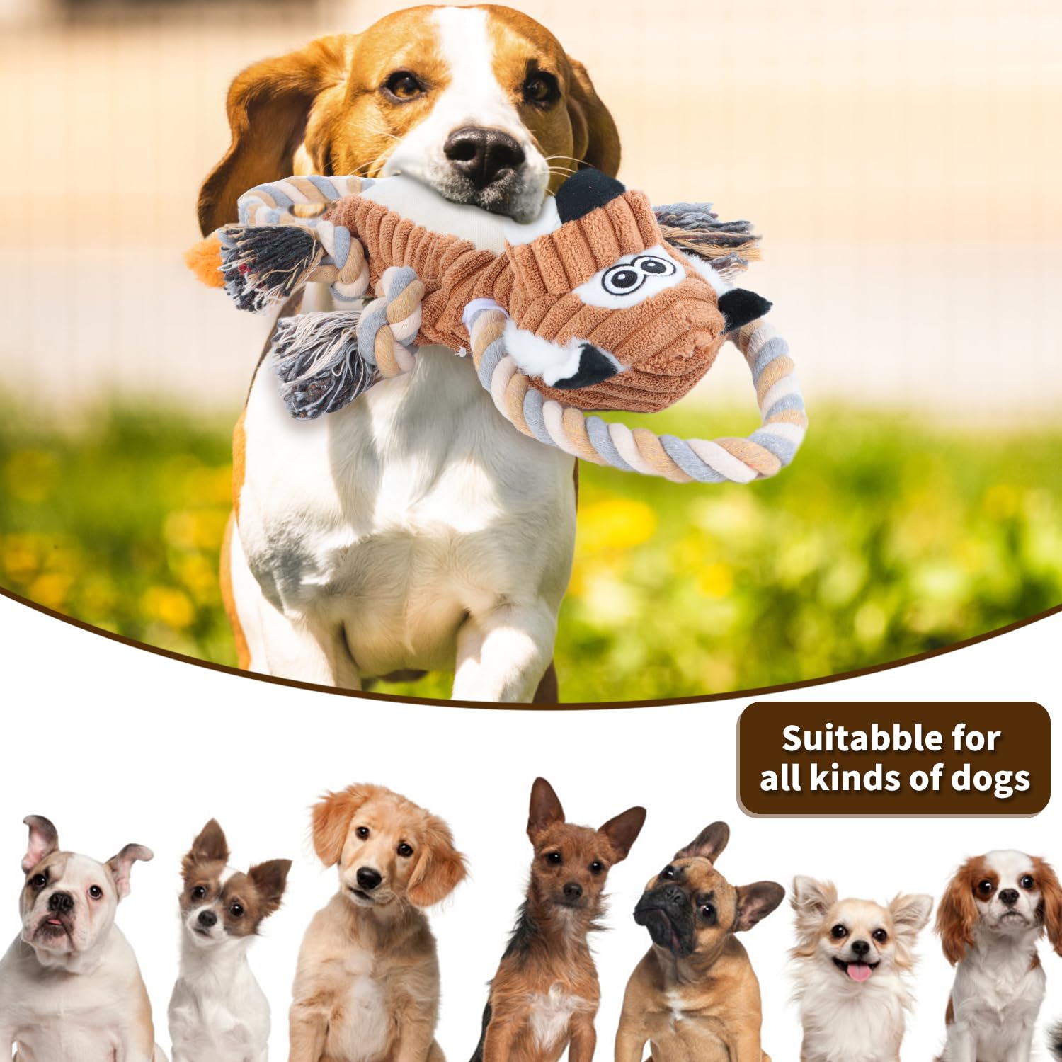 Jouet interactif pour chien CneeeeeB favorisant amusement et stimulation