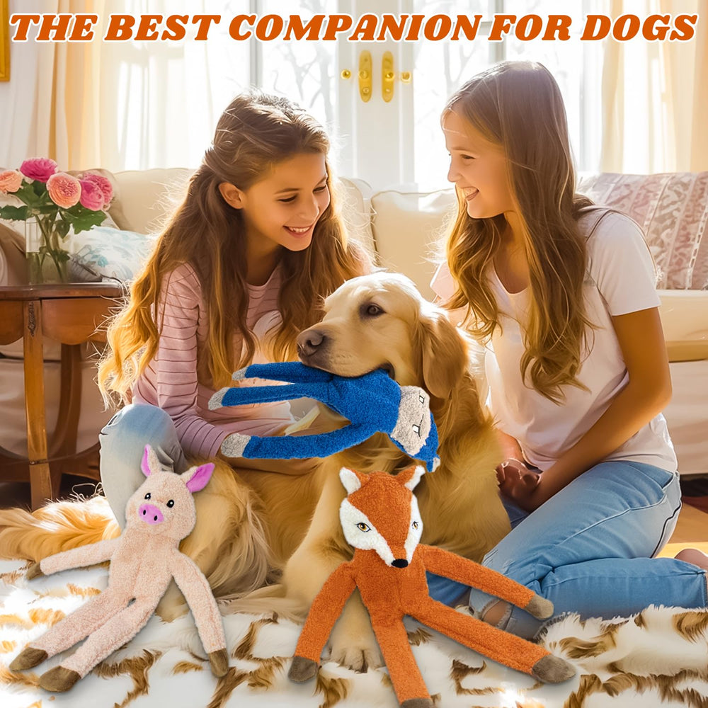 Jouet peluche CneeeeeB, usage quotidien pour occuper votre chien.