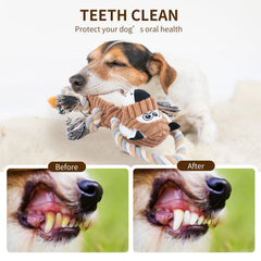 Peluche durable CneeeeeB résistante au mordillage et tirage
