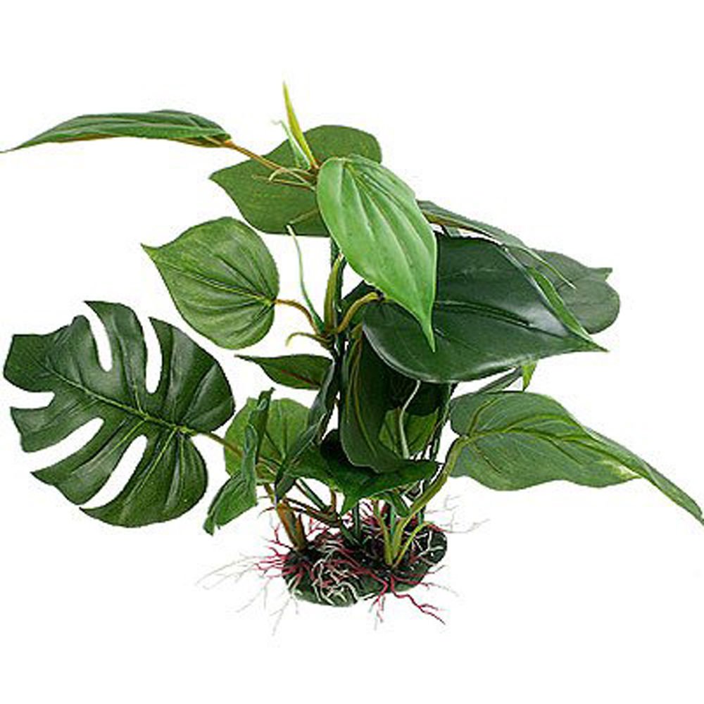 Feuillage vert CNZ détaillé pour un aspect naturel dans votre aquarium.