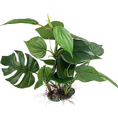 Feuillage vert CNZ détaillé pour un aspect naturel dans votre aquarium.