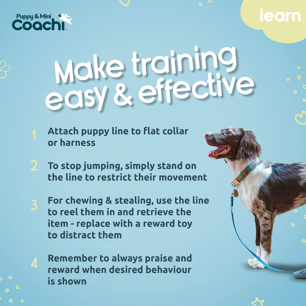 Coachi aide à rediriger les chiots vers des activités positives et des récompenses.