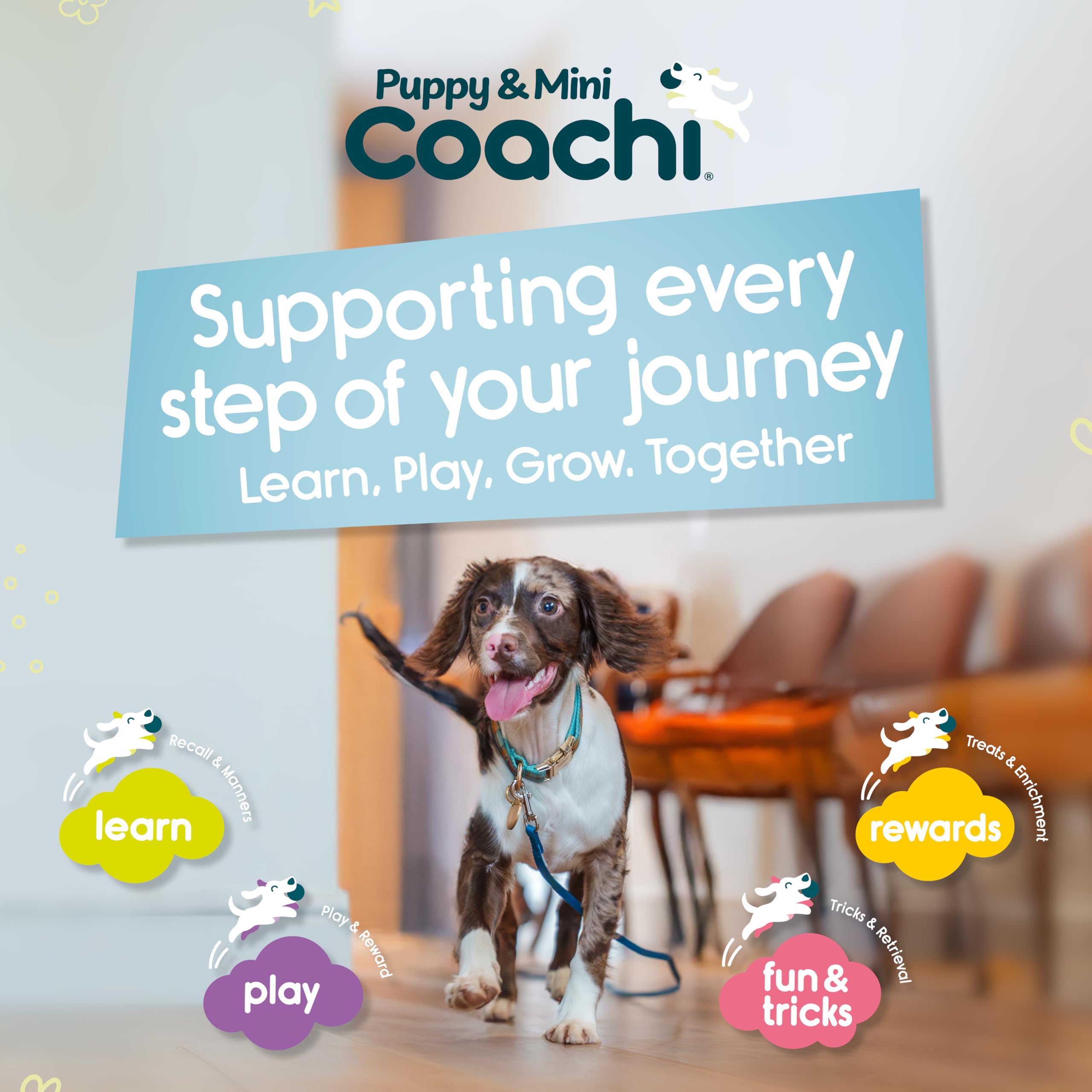 Coachi est adaptée aux chiots et chiens nouvellement acquis, pour un usage intérieur.