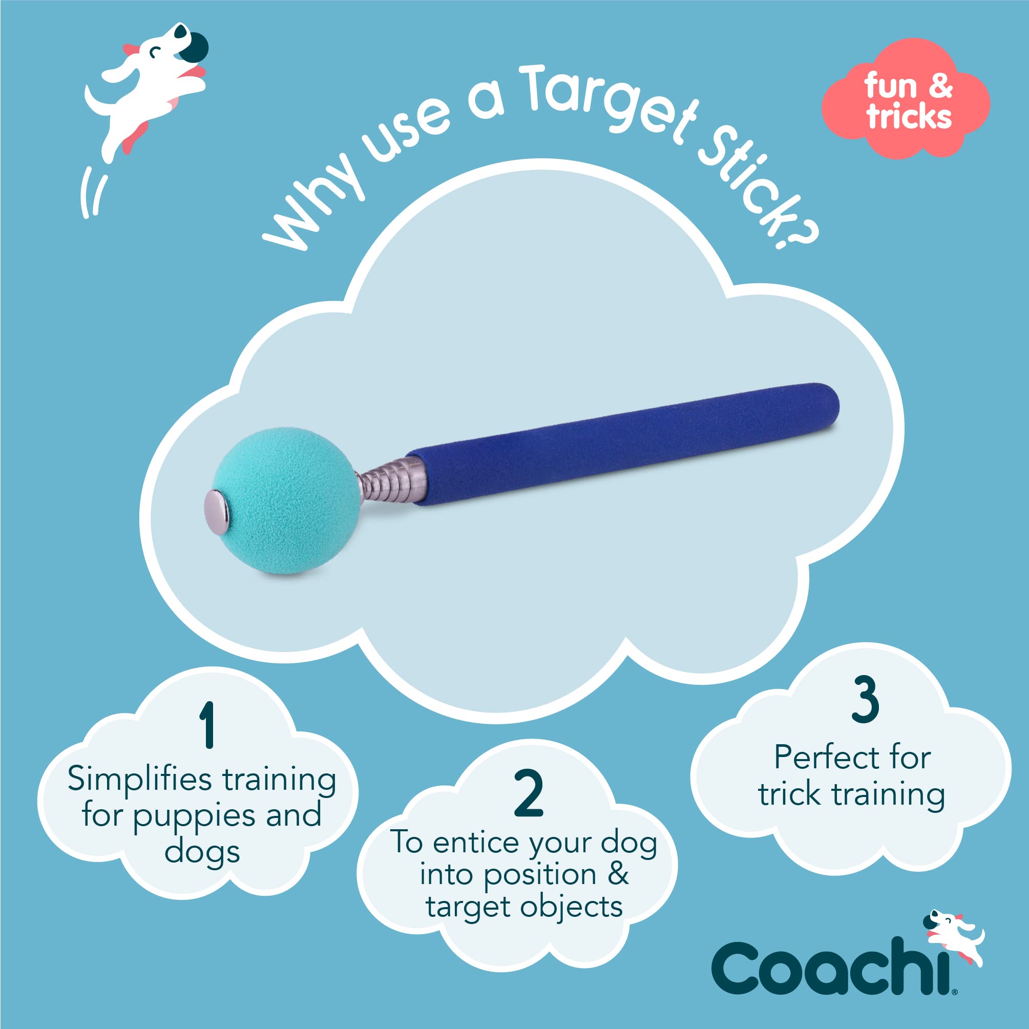 Coachi Target Stick extensible 70 cm, balle lumineuse, aide l'entraînement et la concentration.