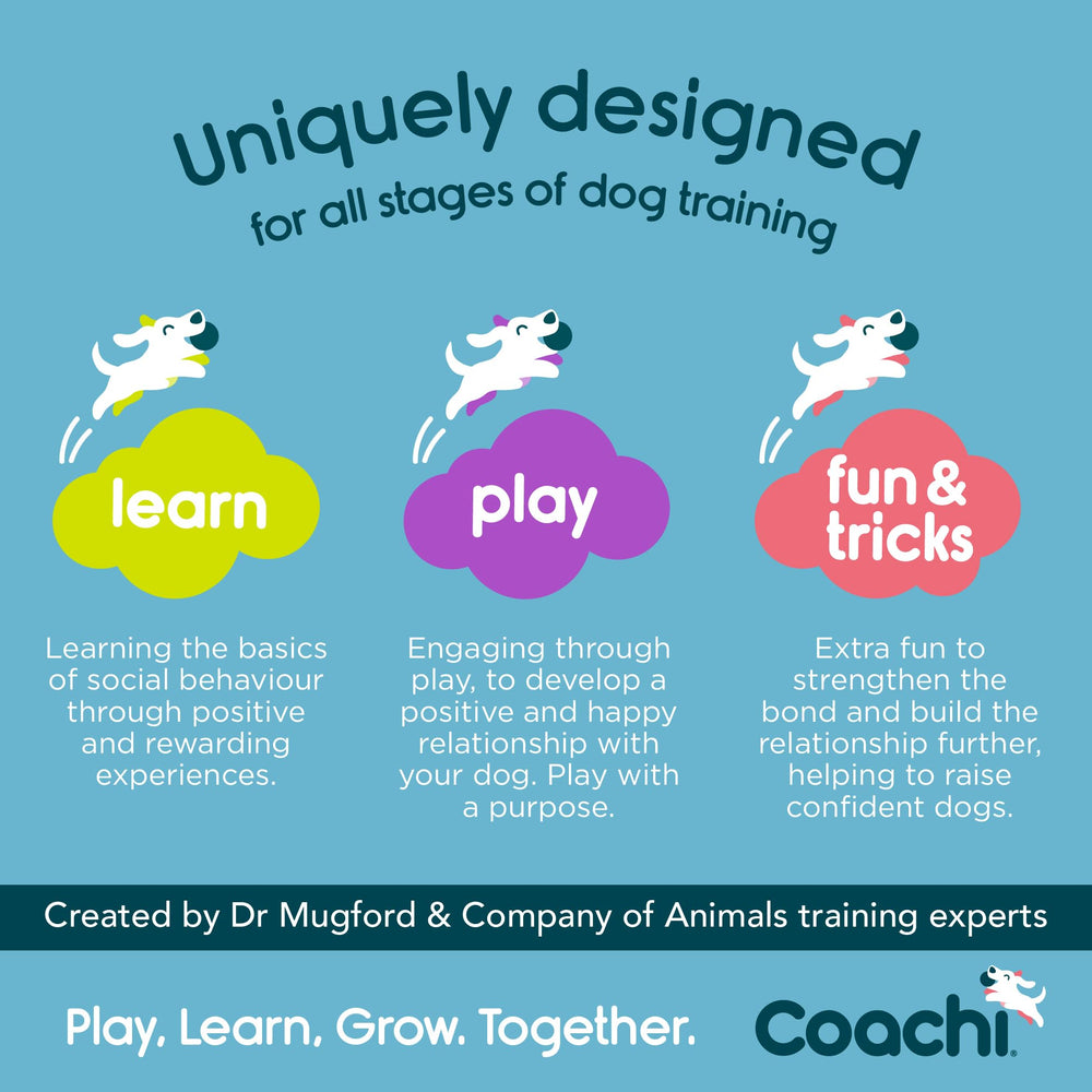 Coachi Target Stick grande balle guide visuel pour apprentissage et obéissance canine.