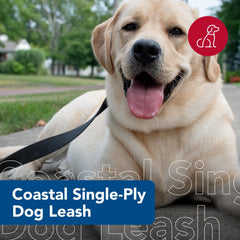 Laisse Coastal Pet en nylon simple, contrôle optimal pour tous les chiens.