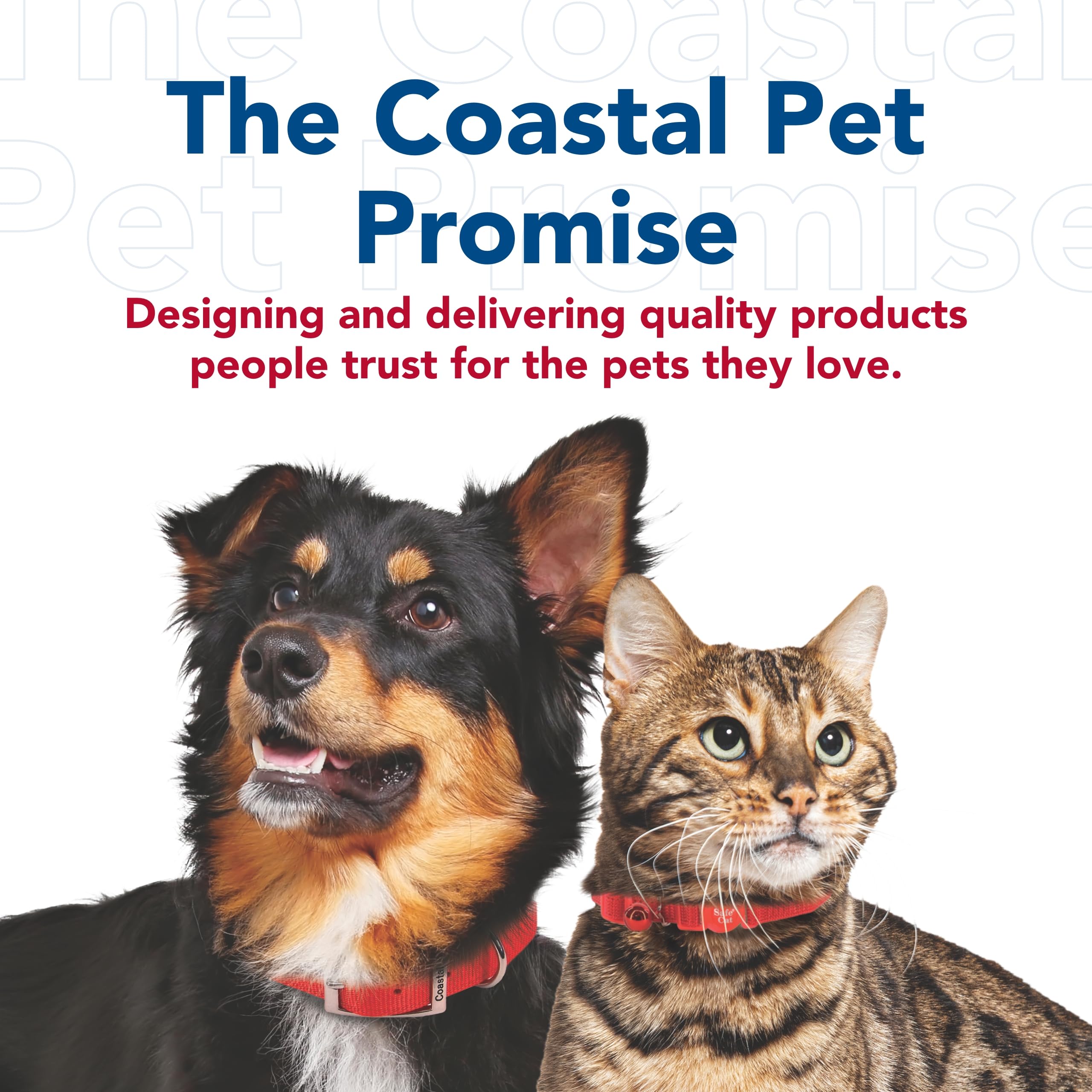 Laisse durable Coastal Pet Orchidée pour sorties quotidiennes.