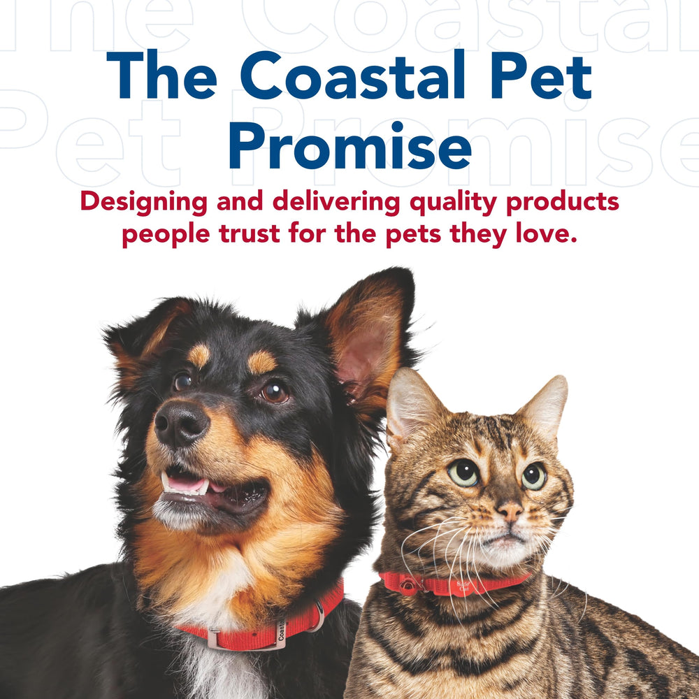 Laisse durable Coastal Pet Orchidée pour sorties quotidiennes.