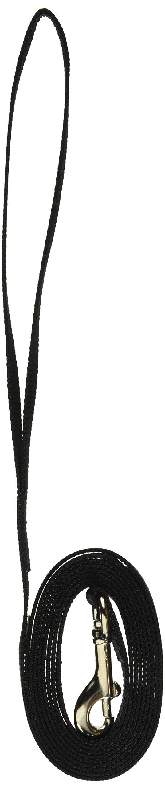 Laisse design Coastal Pet noir, allure élégante pour sorties en ville.