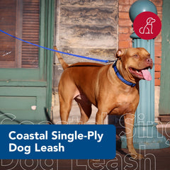 Laisse Coastal Pet, poignée confort, usage agréable et sûr.