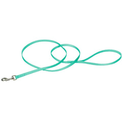 La Coastal Pet Simple-Ply bleu-vert en place, contrôle précis lors des promenades.
