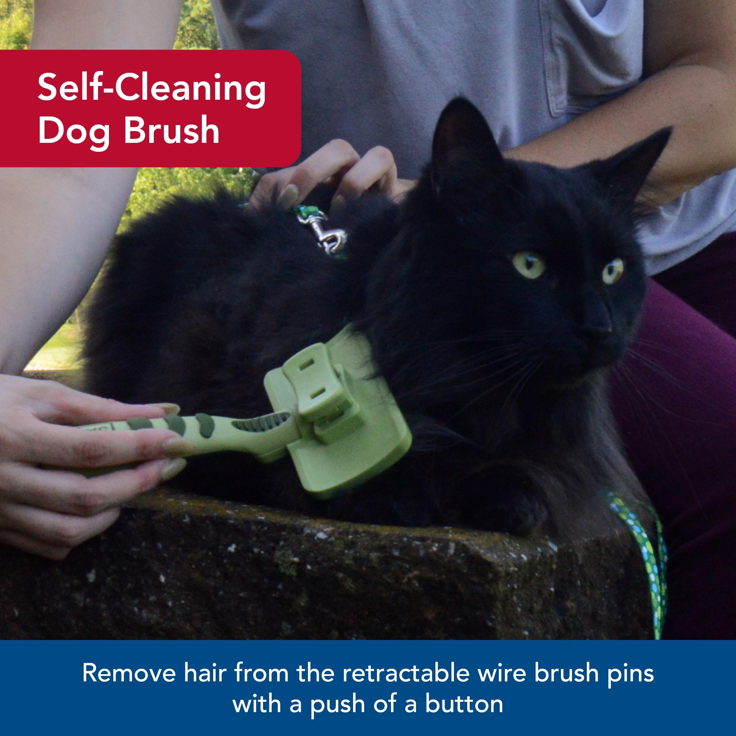 Coastal Pet Safari brosse à aiguilles en acier inoxydable, douceur lors du toilettage