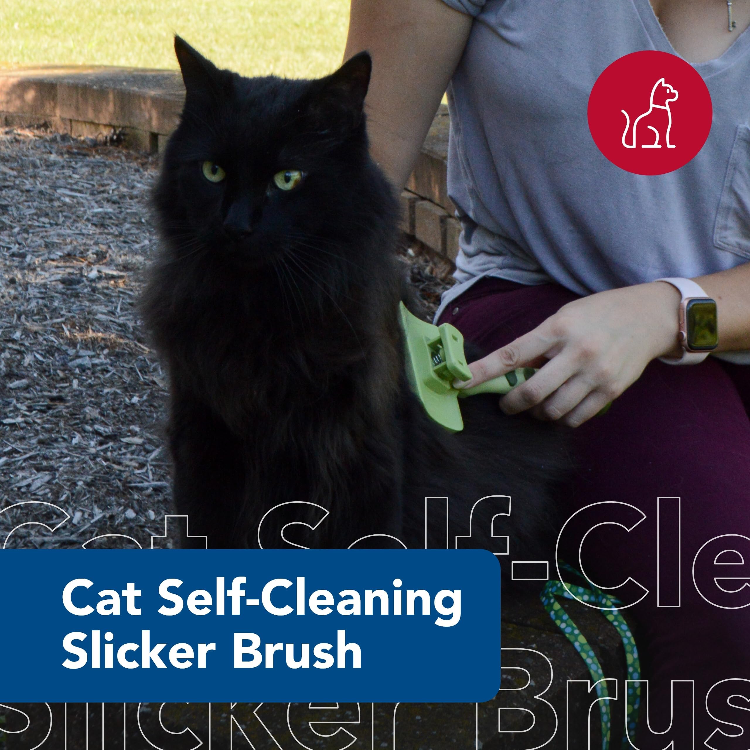 Coastal Pet Safari brosse déshedding pour chat, réduit les poils sur les surfaces