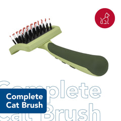 Coastal Safari Complete Chat – design tout-en-un et douceur du pelage