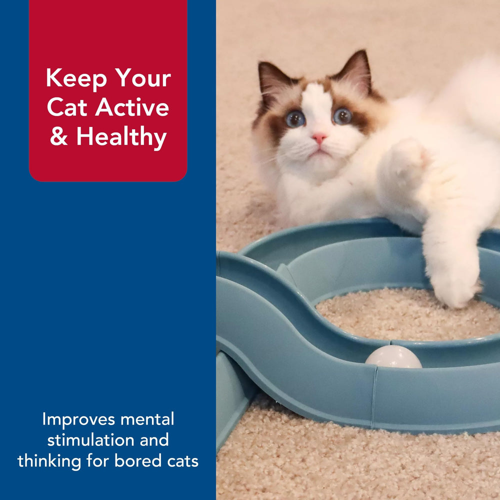Jouet interactif pour chat, idéal pour les jeux quotidiens.