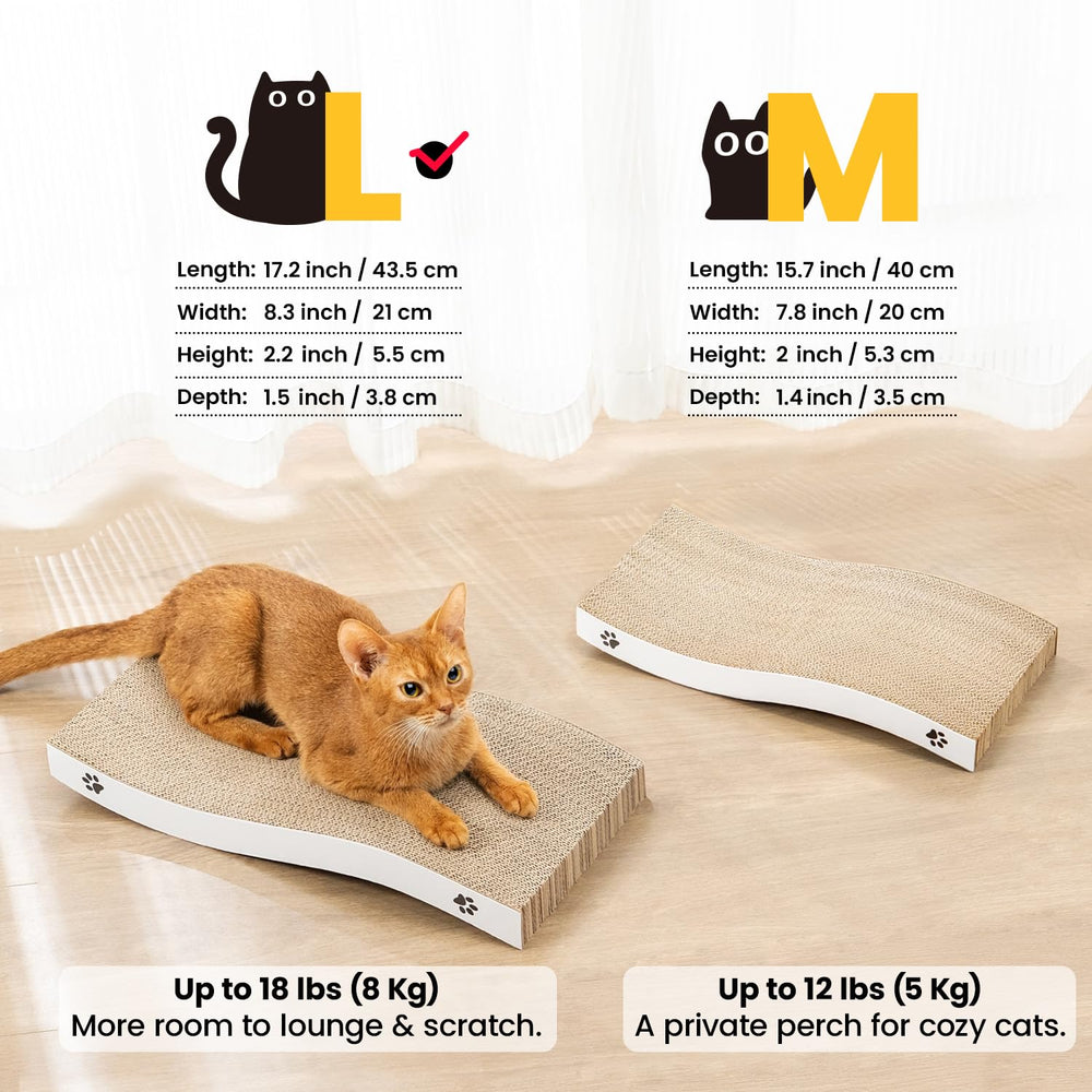 Coching grattoir chaton avec herbe à chat, stimulation et attirance naturelle