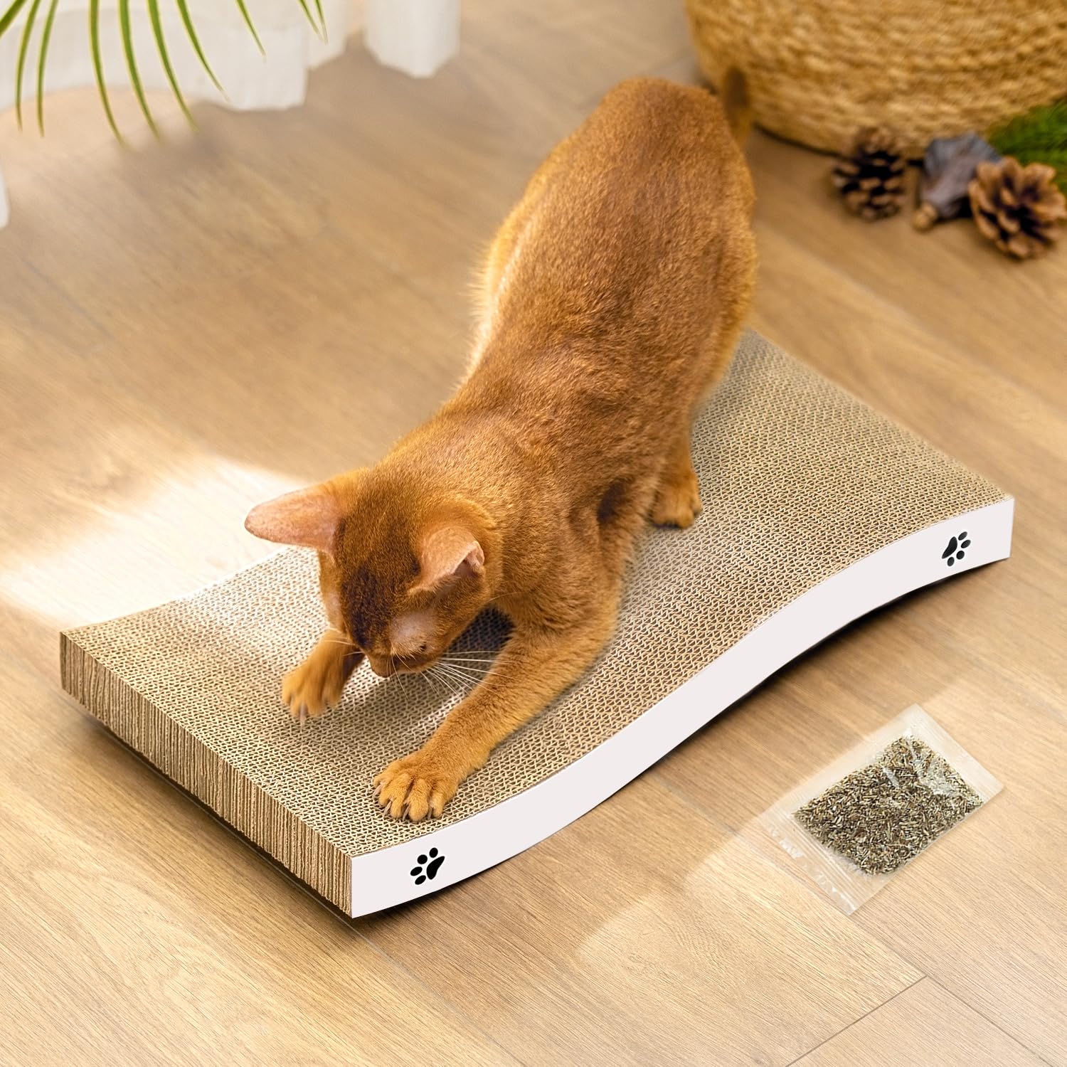 Coching grattoir chaton moyen recto verso, surface double-face pour durer plus longtemps
