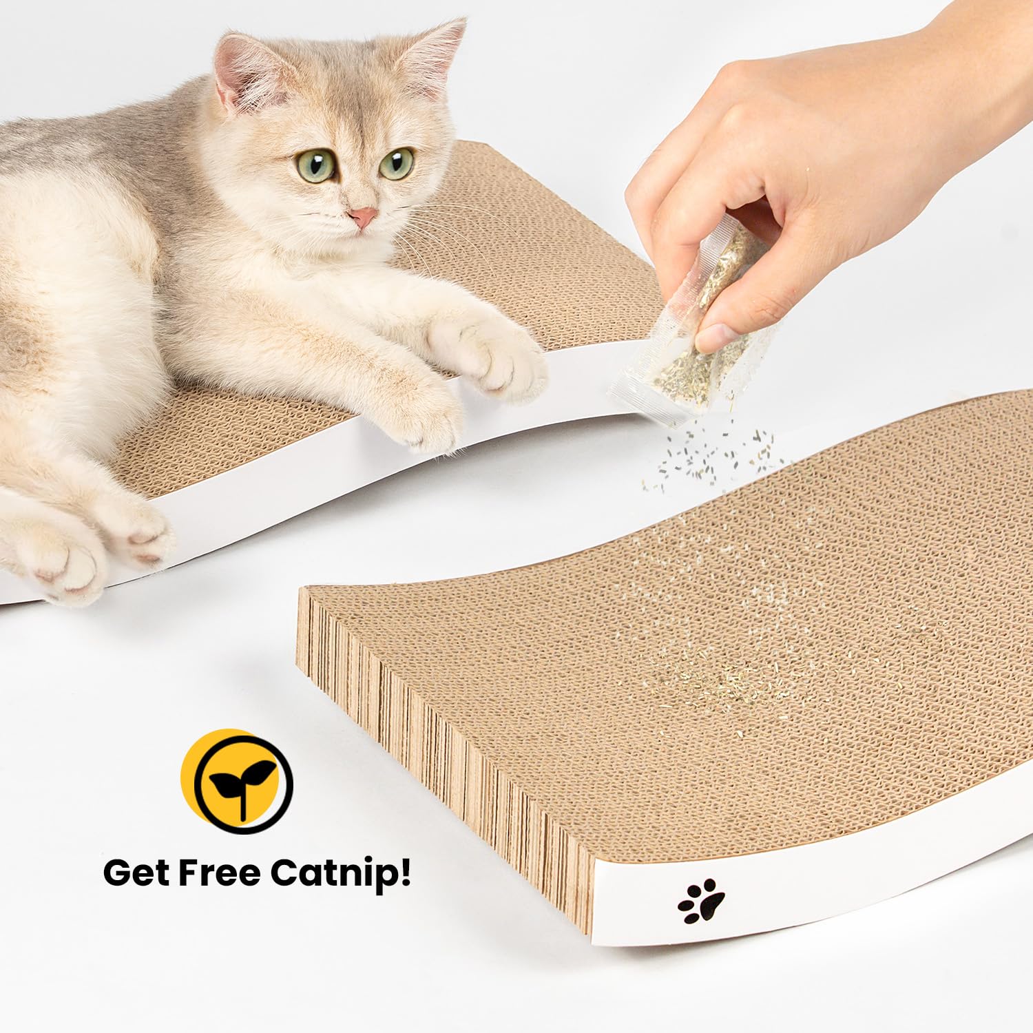 Coching grattoir chaton packaging responsable et recyclable