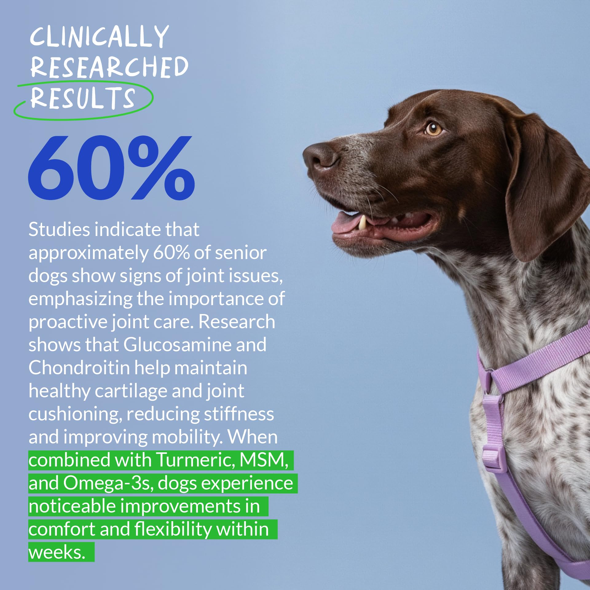 Coco et Luna – fabrication États‑Unis et ingrédients globaux: assurance qualité et traçabilité.