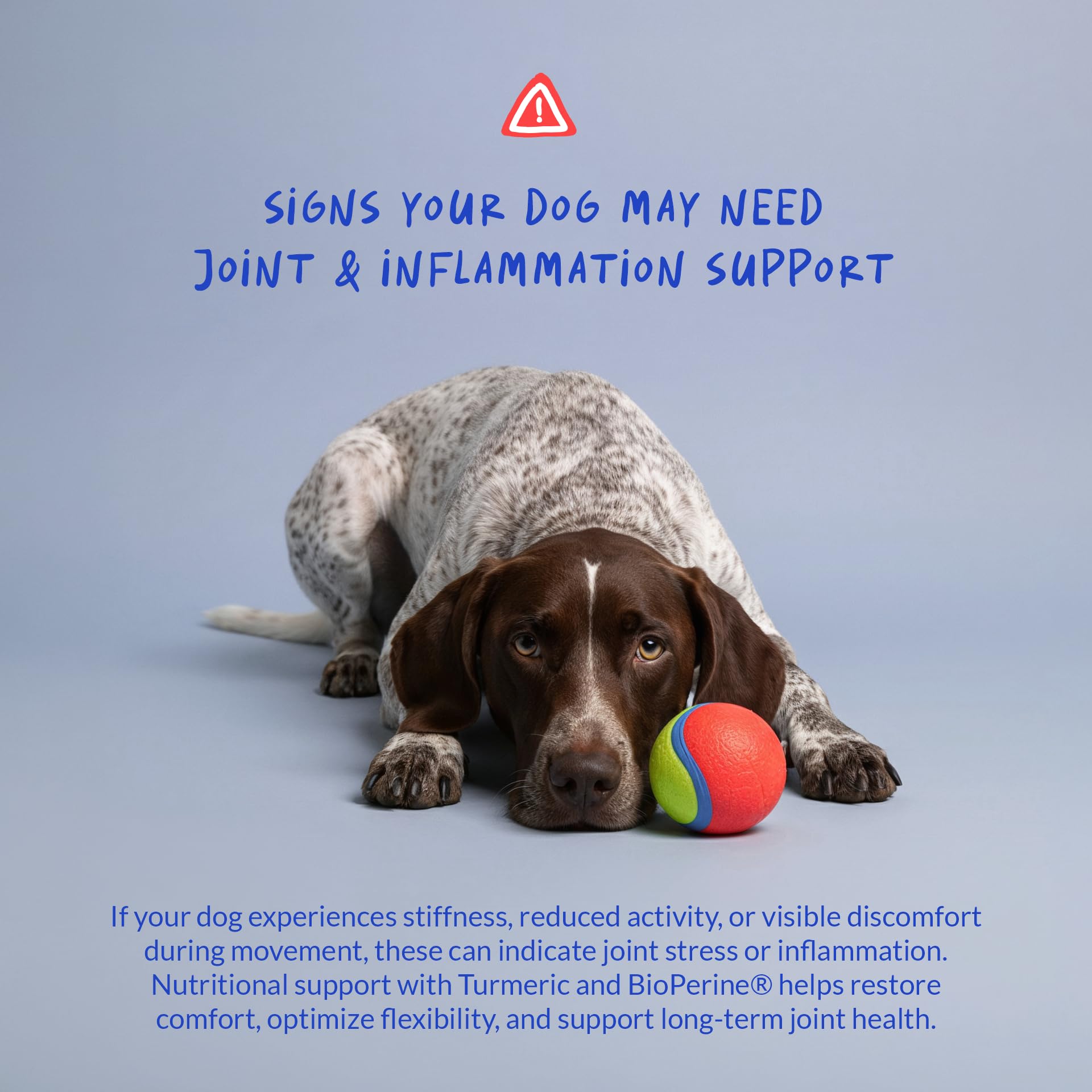 Coco et Luna Bioperine – amélioration possible de l'absorption des nutriments.