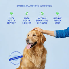 Ingrédients clés visibles: chardon-Marie et EPA/DHA pour chiens