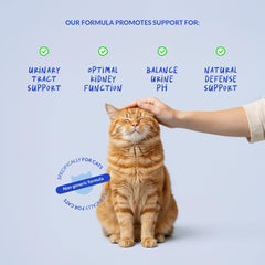 Coco et Luna chat, dose quotidienne D-Mannose, facilité d’administration.