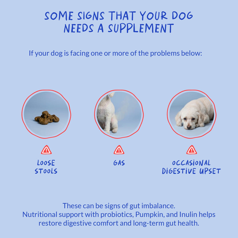 Formule vétérinaire Coco et Luna Probiotiques Chiens – sécurité et fiabilité.