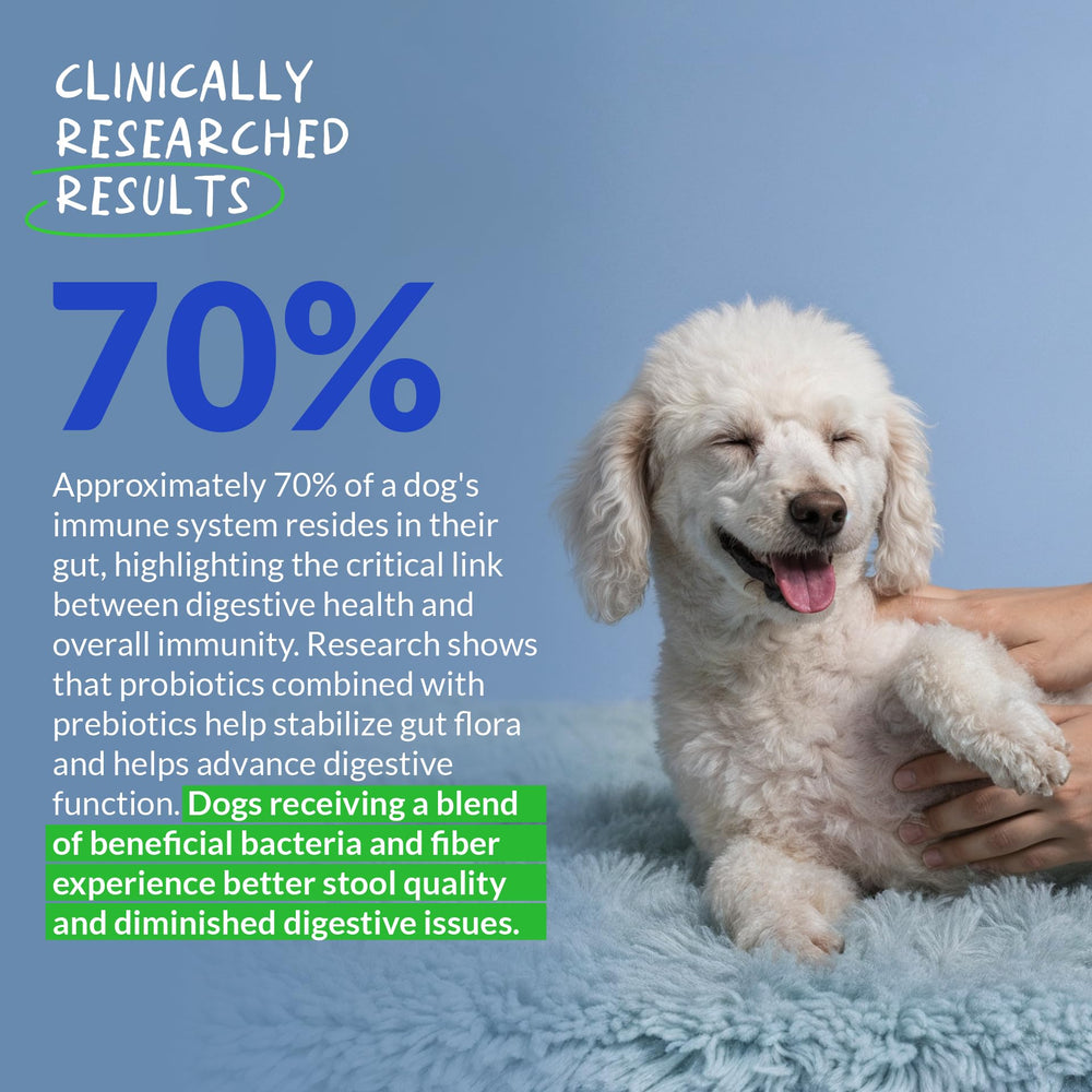 Ingrédients sains Coco et Luna Probiotiques Chiens – soutien nutritionnel potentiel.