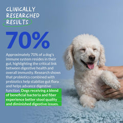 Ingrédients sains Coco et Luna Probiotiques Chiens – soutien nutritionnel potentiel.