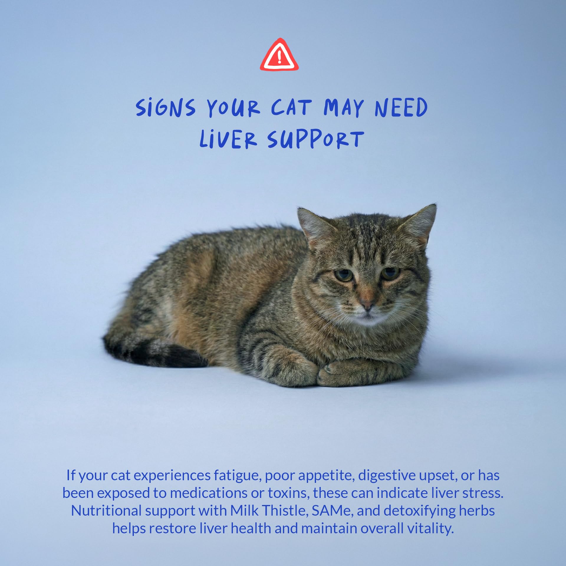 SAMe pour chat, Coco et Luna, soutien potentiel au cerveau.