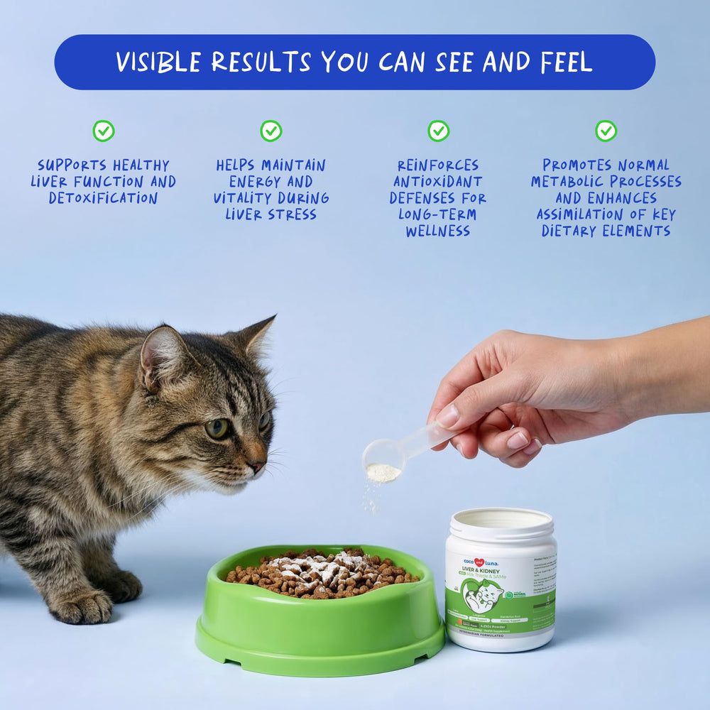 Soutien foie chat par Coco et Luna, formulation pratique en poudre.